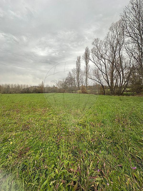 Moulin - 86 m² - 4 pièces