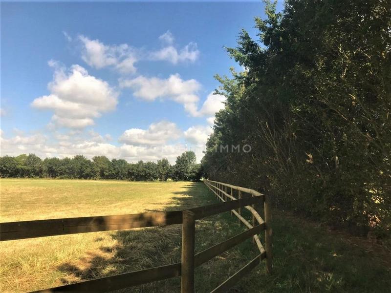 Haras - 300 m² - 8 pièces