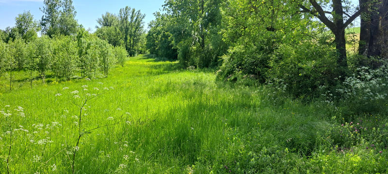 Terrain agricole - 6 045 m²