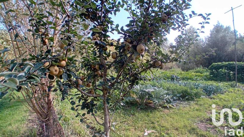 Maison - 642 m² - 14 pièces