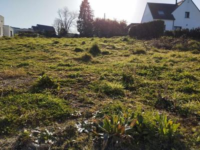 Terrain constructible - 735 m²