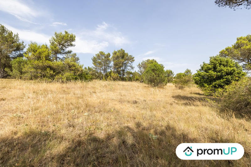 Terrain de loisirs - 8 952 m²