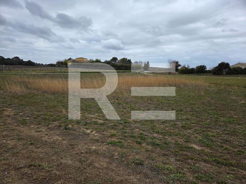 Terrain constructible - 1 116 m²