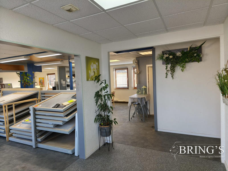 Local d'activités - 434 m²