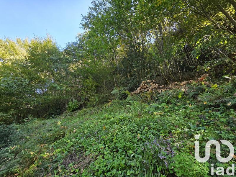 Maison de campagne - 60 m² - 4 pièces