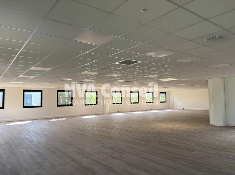 Local d'activités - 1 251 m²