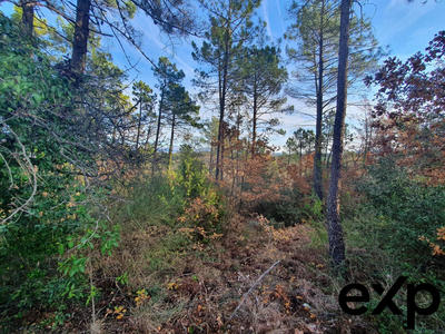 Terrain agricole - 1 300 m²