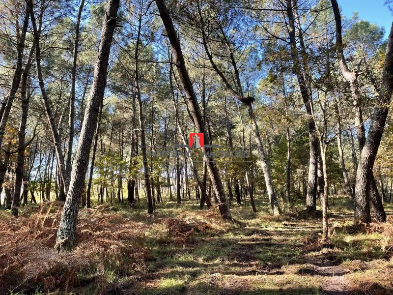 Maison - 94 m² - 2 pièces