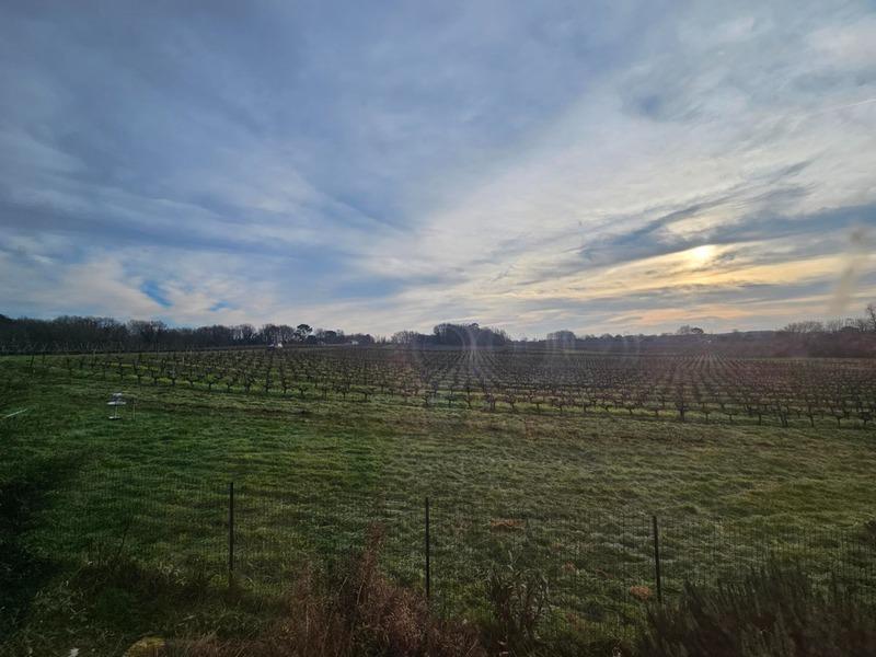 Maison en pierre - 80 m² - 4 pièces