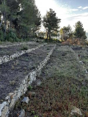 Terrain constructible - 1 499 m²