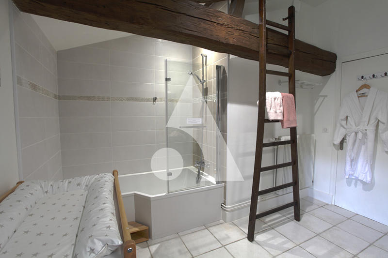 Demeure - 600 m² - 17 pièces