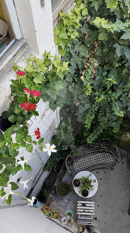 Appartement - 53 m² - 3 pièces