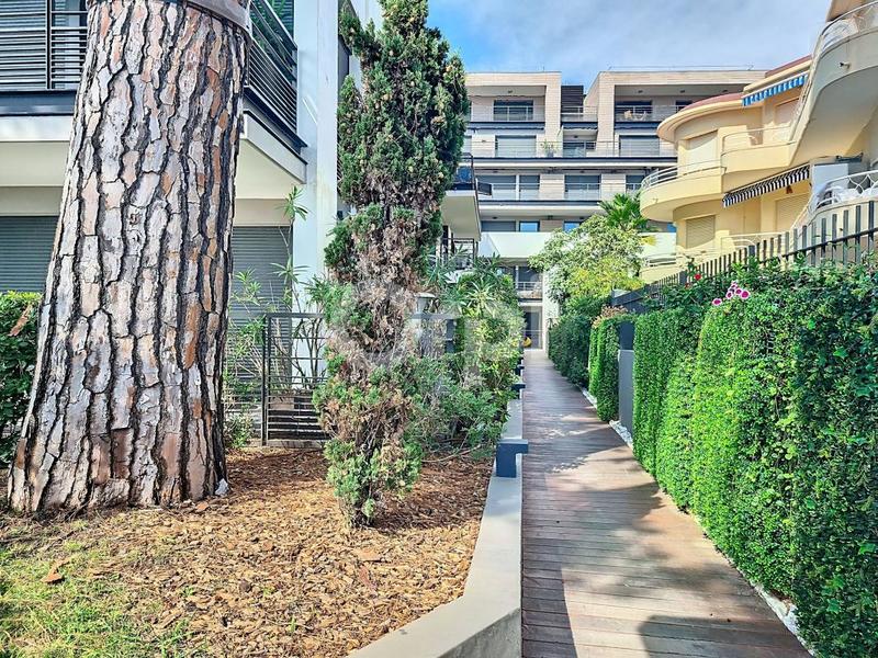 Studio - 30 m² - 1 pièce