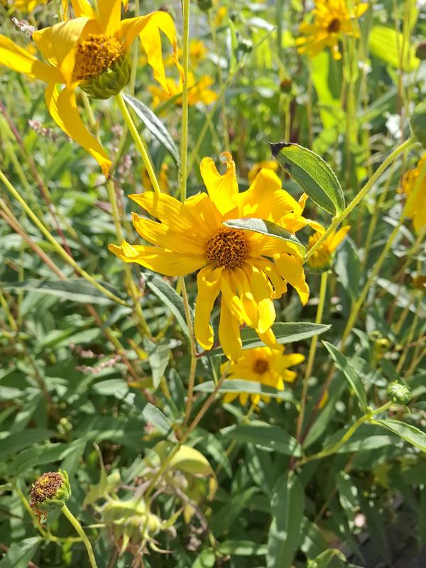 Promenade : les lieux insolites des 5eme et 6eme arrondissements de Paris