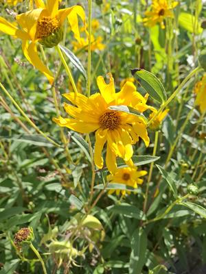 Promenade : les lieux insolites des 5eme et 6eme arrondissements de Paris