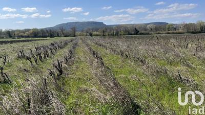 Terrain agricole - 2 455 m²