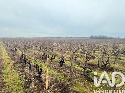 Terrain - 24 342 m²