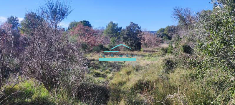 Terrain agricole - 21 172 m²