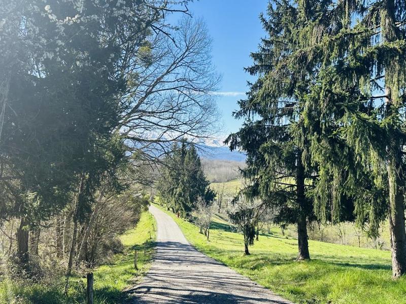 Propriété - 300 m² - 7 pièces