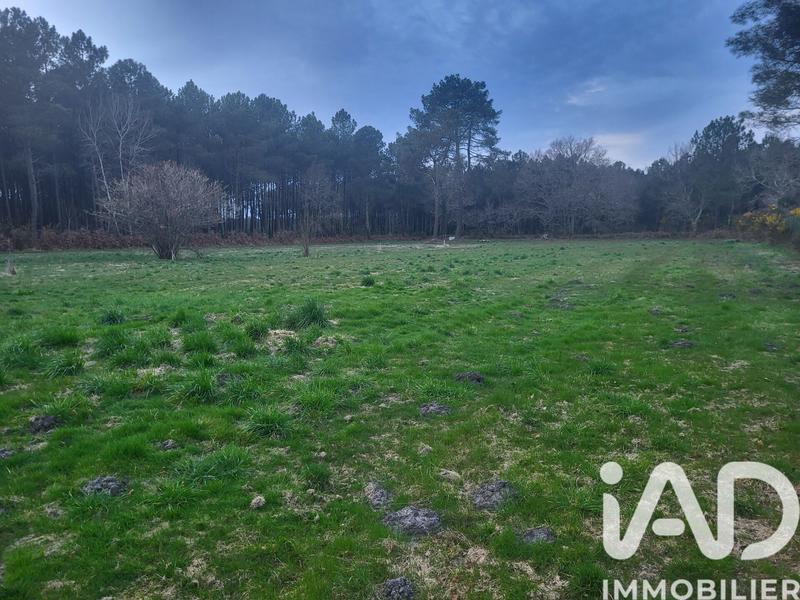 Maison - 155 m² - 5 pièces