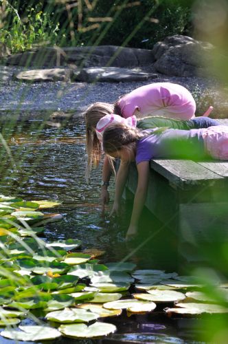 Jardin aux Plantes Parfumées