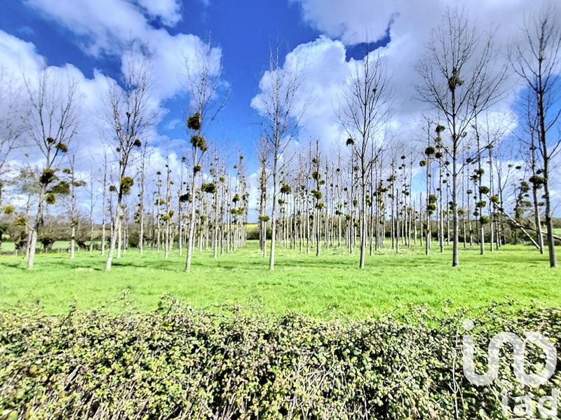 Maison de village - 200 m² - 6 pièces