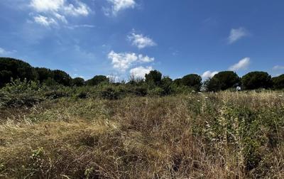 Terrain de loisirs - 1 248 m²