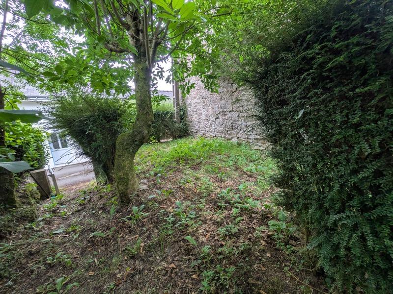 Maison en pierre - 53 m² - 3 pièces