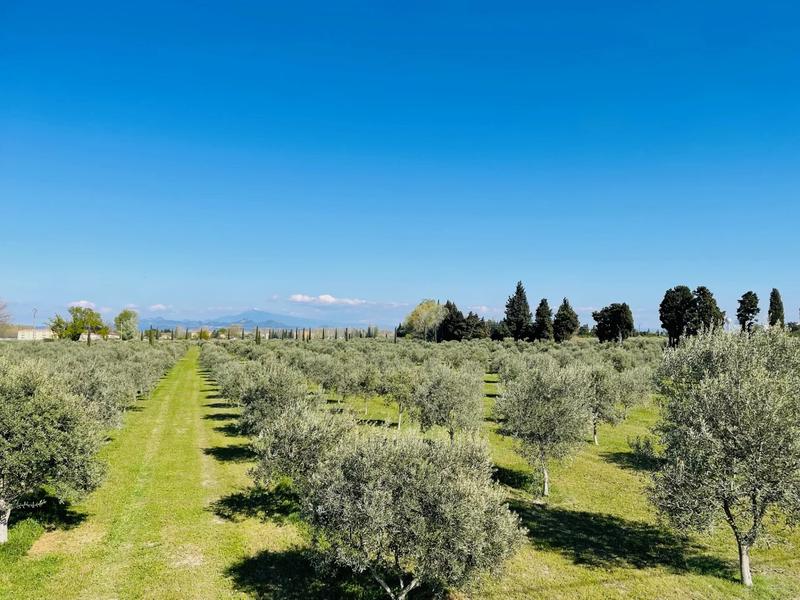 Propriété - 684 m² - 15 pièces