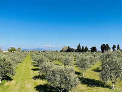 Propriété - 684 m² - 15 pièces