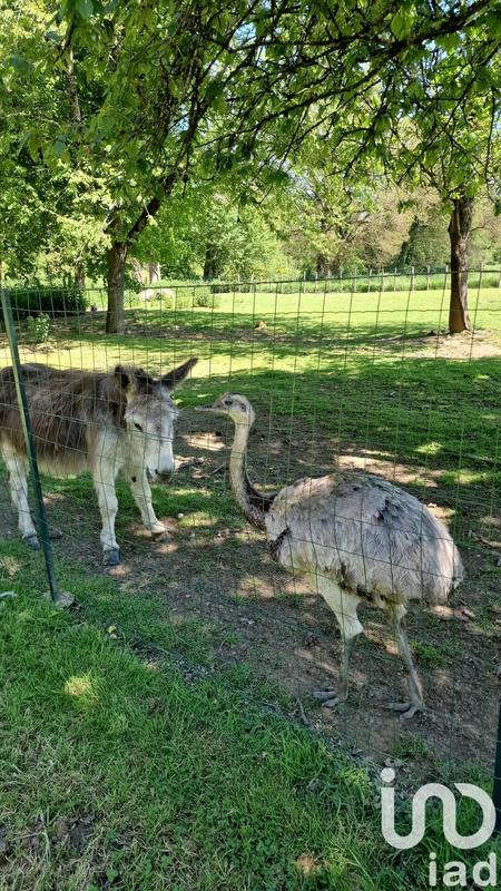 Maison - 320 m² - 8 pièces