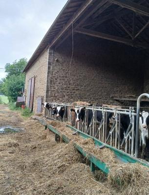 Propriété - 144 m² - 5 pièces