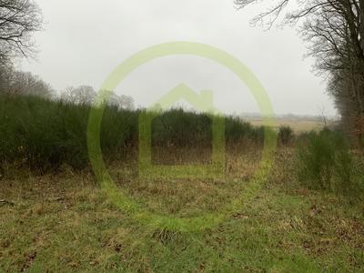 Terrain - 199 600 m²