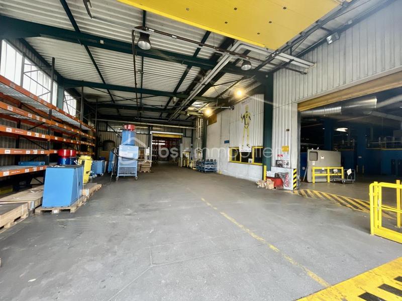 Bureau - 9 000 m² - 50 pièces