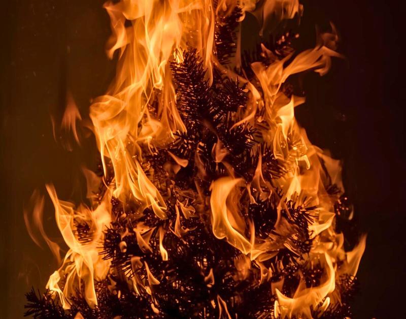 Crémation des sapins de Noël