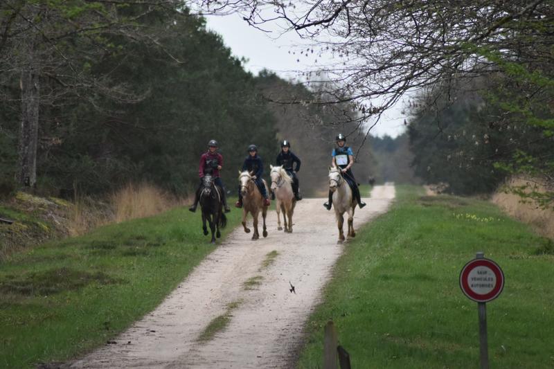 Championnat Départemental et Regional d'Endurance Equestre