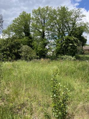 Terrain constructible - 300 m²