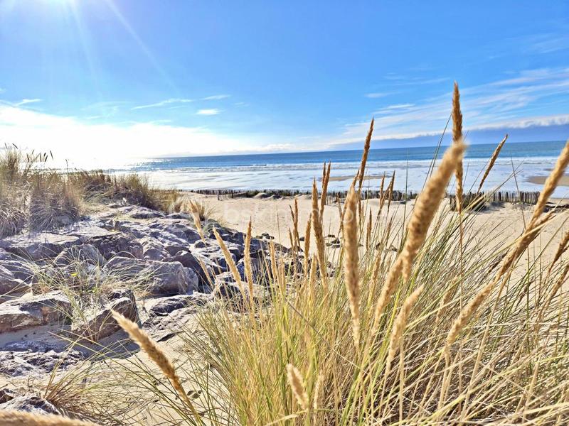 Studio - 22 m² - 1 pièce