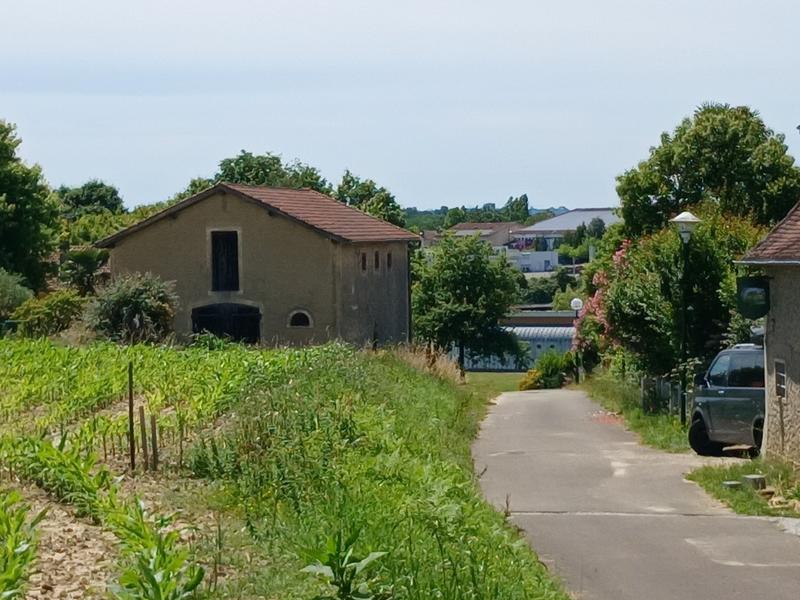 Terrain constructible - 1 002 m²