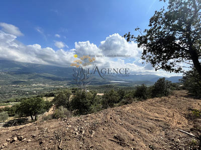 Terrain - 12 044 m²