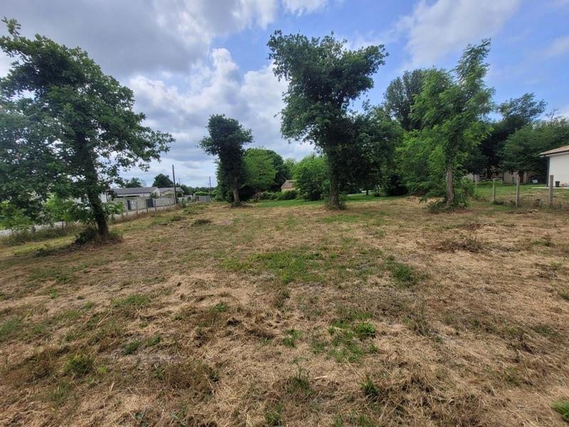 Terrain constructible - 1 244 m²
