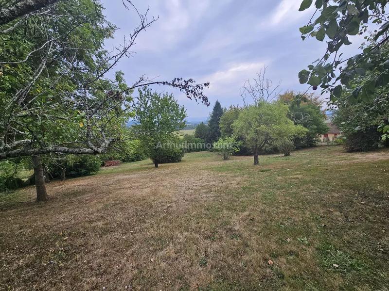 Viager - Maison - 134 m² - 6 pièces