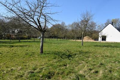 Terrain constructible - 958 m²