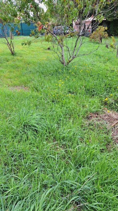 Terrain constructible - 661 m²