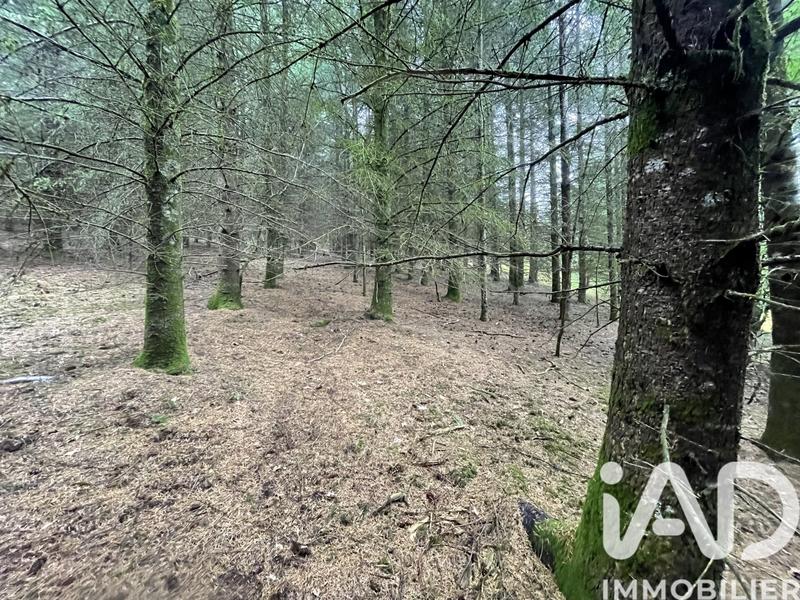 Terrain - 121 370 m²