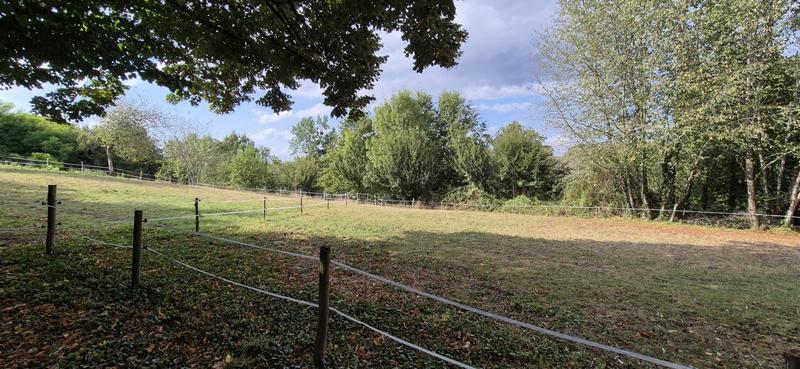 Propriété - 229 m² - 7 pièces