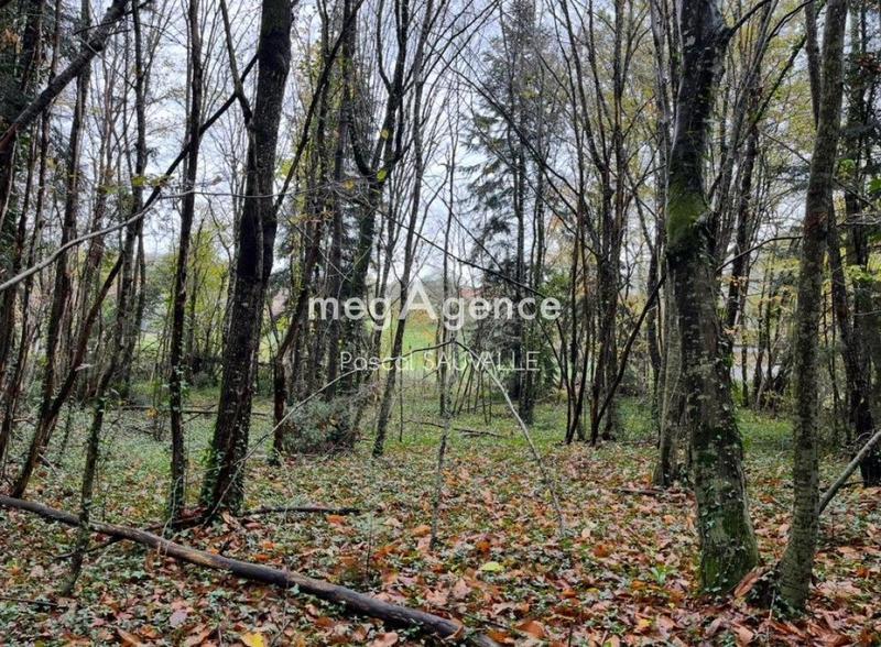Terrain constructible - 1 800 m²