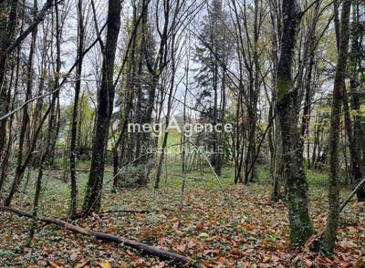 Terrain constructible - 1 800 m²
