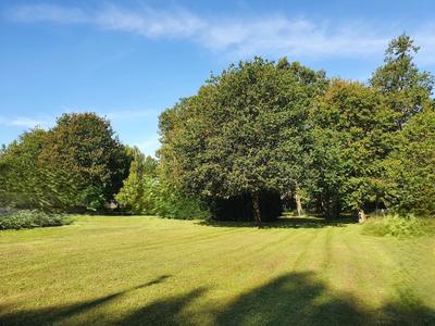 Terrain constructible - 1 000 m²