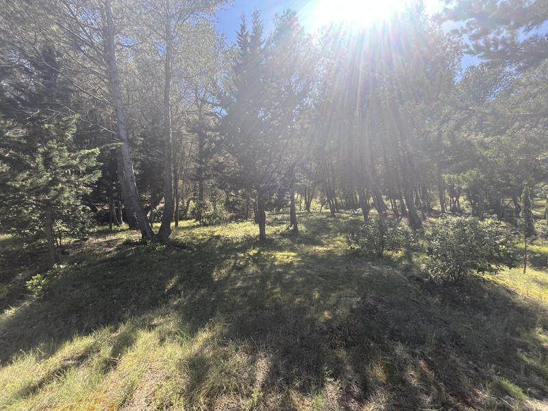 Villa - 155 m² - 3 pièces